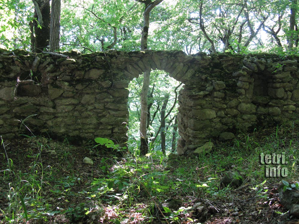 Birtvisi-Ruins of a palace