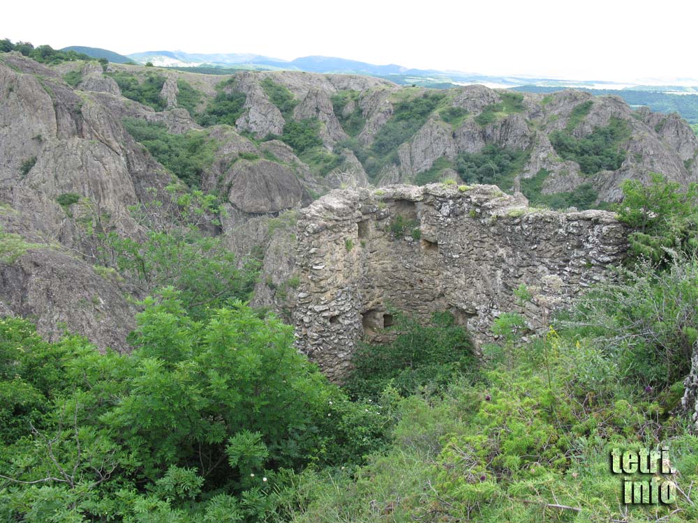 Birtvisi-Ruins of ancient protective installations