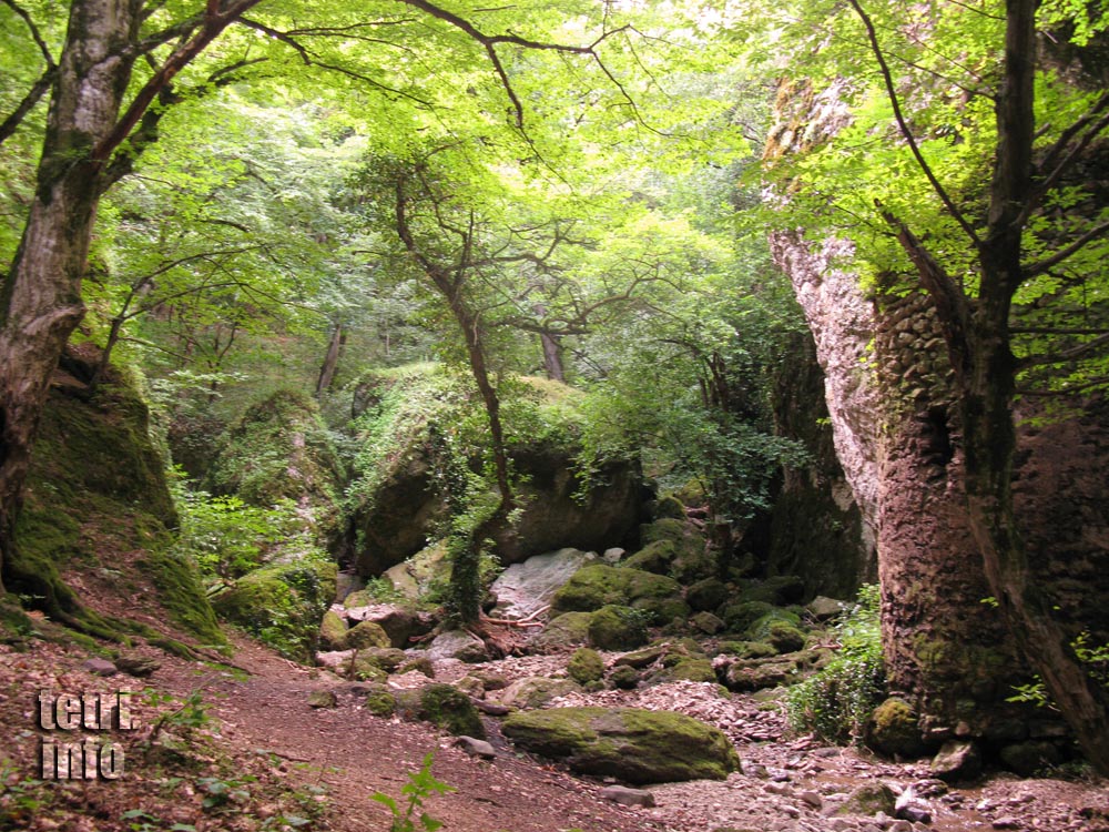 Birtvisi-The bottom of the canyon