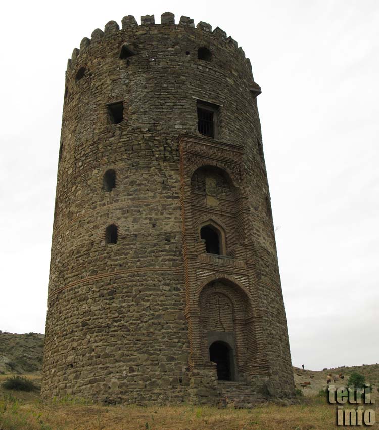 Tower Salkhino. General view